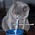 jart