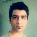 Mohamad Amin Valinejad