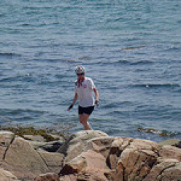 sea_susanallen sea_susanallen