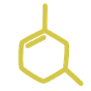 Codelab Solutions Avatar